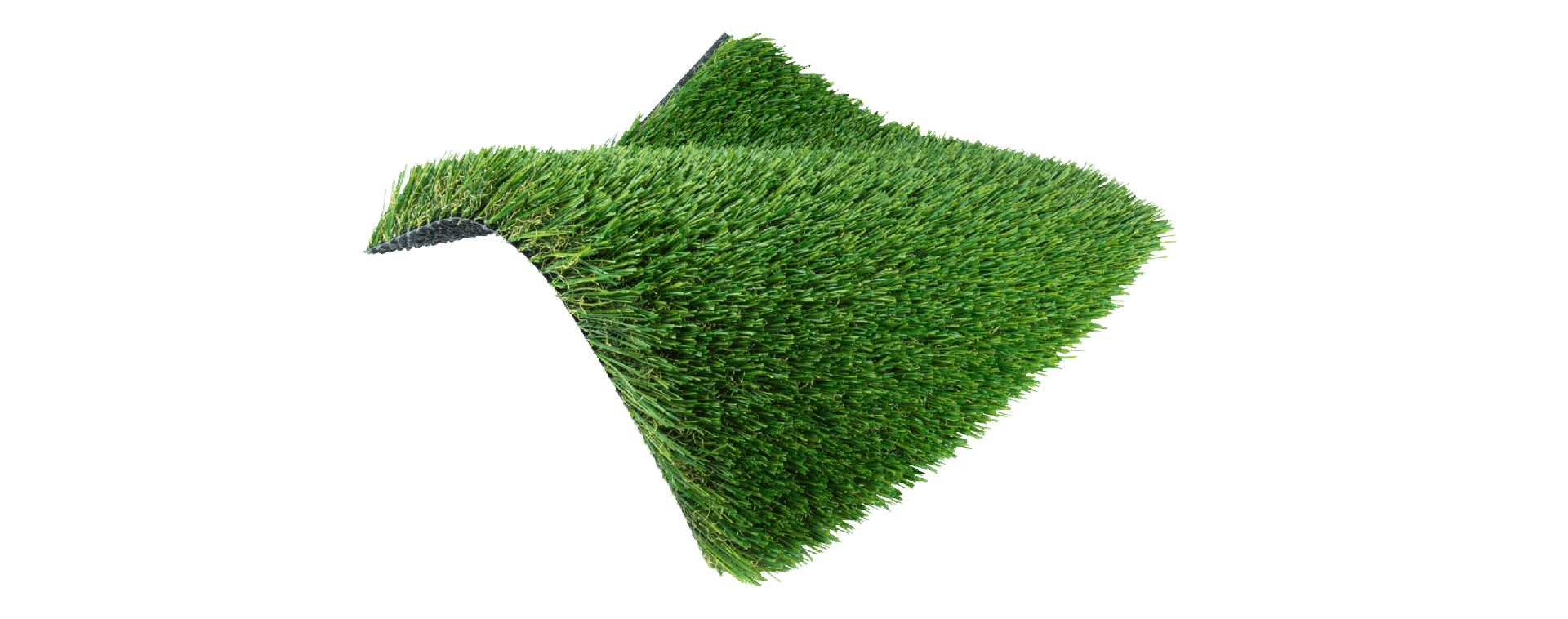 Pacific Blend turf sample