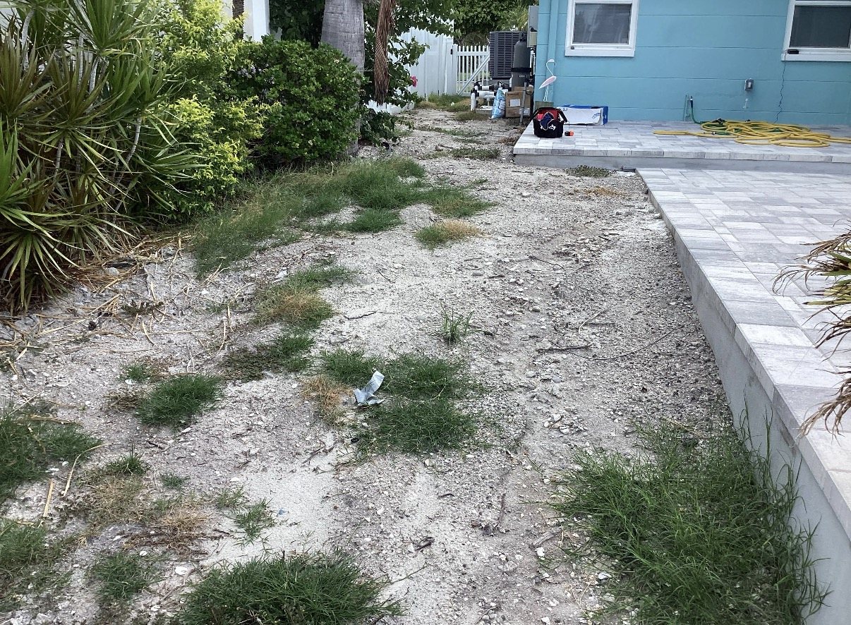 Patchy bare ground beside the travertine patio before the Clearwater turf installation