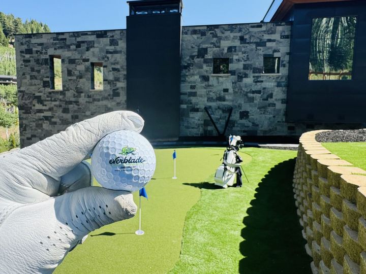EverBlade Designs turf installation — photo 1
