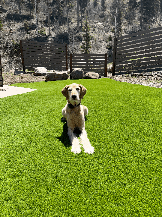 K9 Select project by EverBlade Designs — photo 6