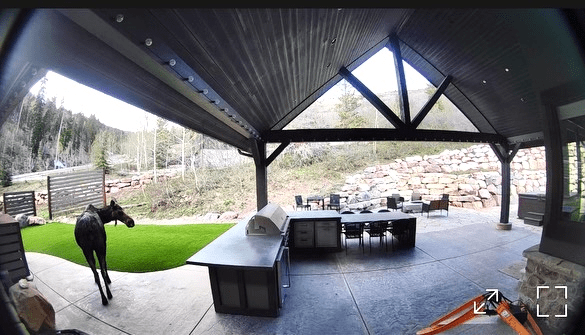 K9 Select project by EverBlade Designs — photo 9