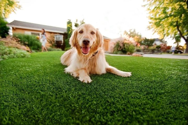 K9 Select project by EverBlade Designs — photo 8