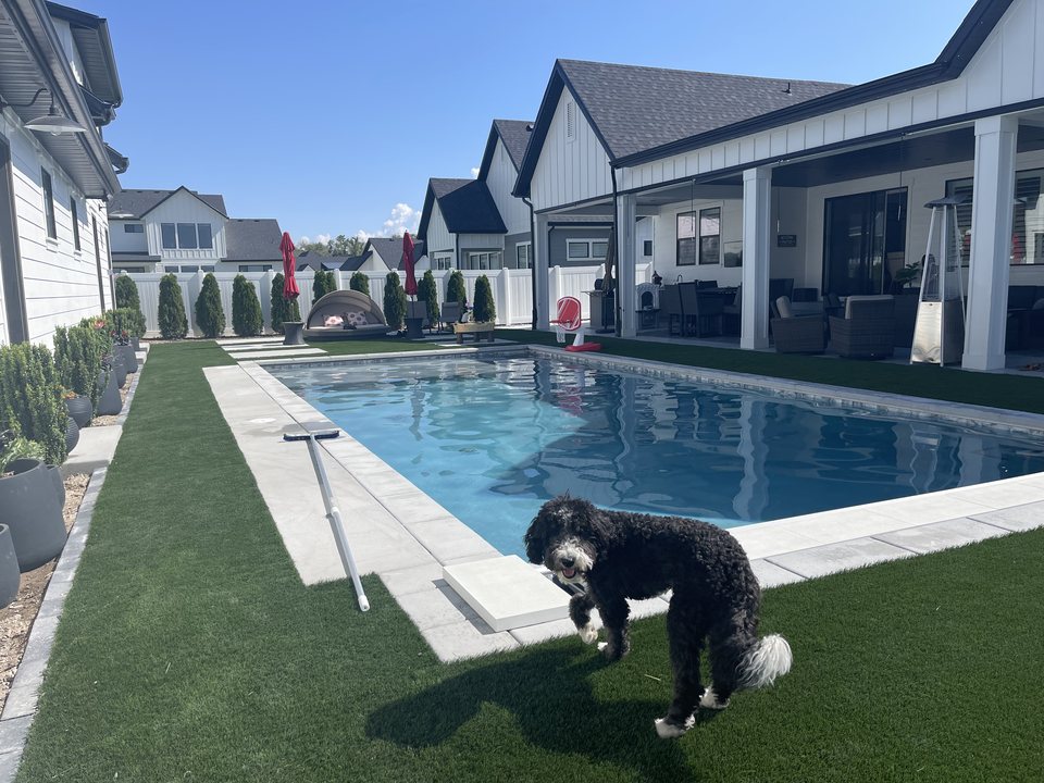 Dog-friendly turf play area beside a pool