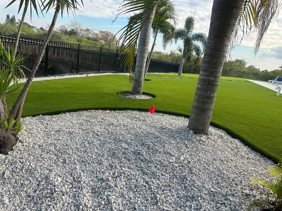 Palm-lined residential artificial turf lawn in Tampa